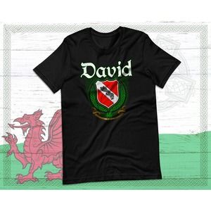 David Family Wales Coat Of Arms T-Shirt